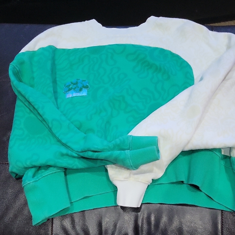 Nike Project Euphoria Cropped Sweatshirt